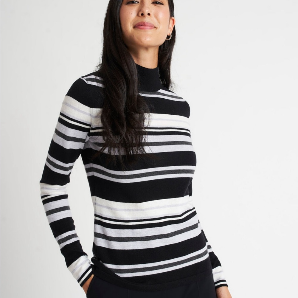 Kit and Ace Merino fitted turtleneck sweater.